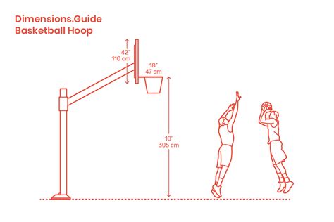 Basketball Court Dimensions and Hoop Height: A .
